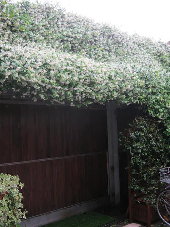 Casa Di Carlo Goldoni - Dimora Storica Bed & Breakfast Chioggia Exterior photo